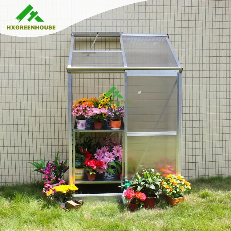 Hot Sale Garden House/Mini Lean-to Greenhouse