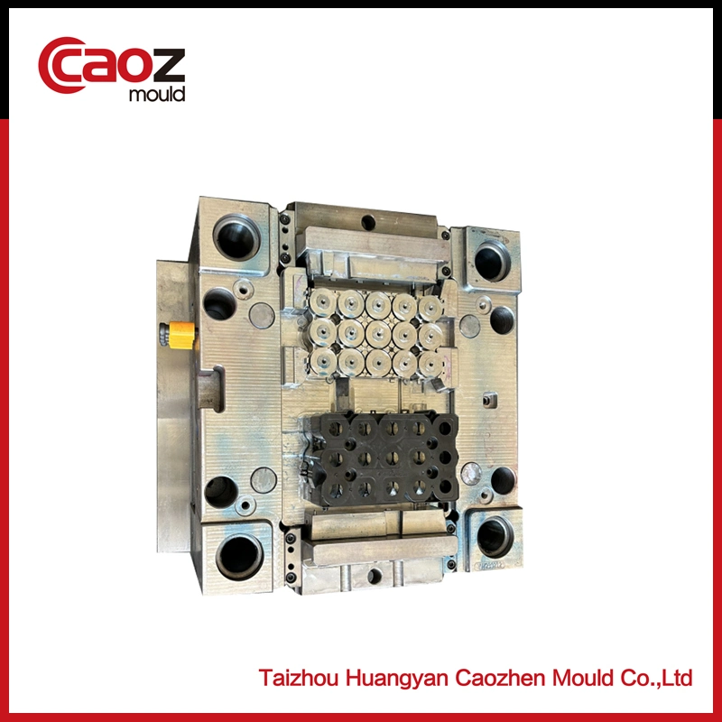 High Precision Plastic Battery Case/Shell Injection Mould (CZ-2064)