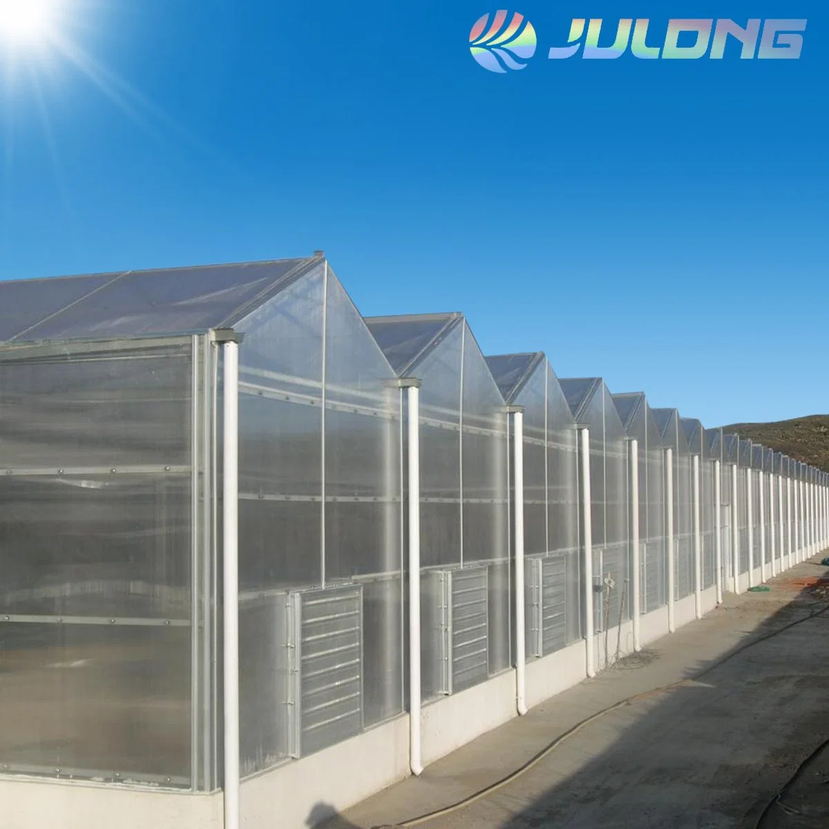 Low Cost Polycarbonate Sheet PC Panel Hydroponic Systems Greenhouse for Agricultural