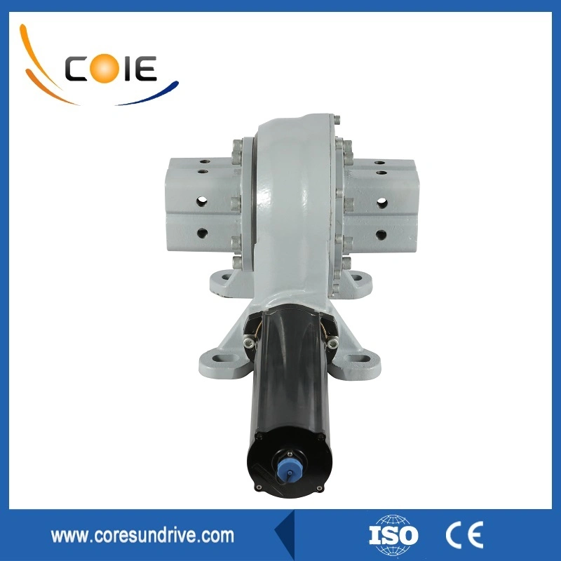 Vertical Worm Gear Drive Motor