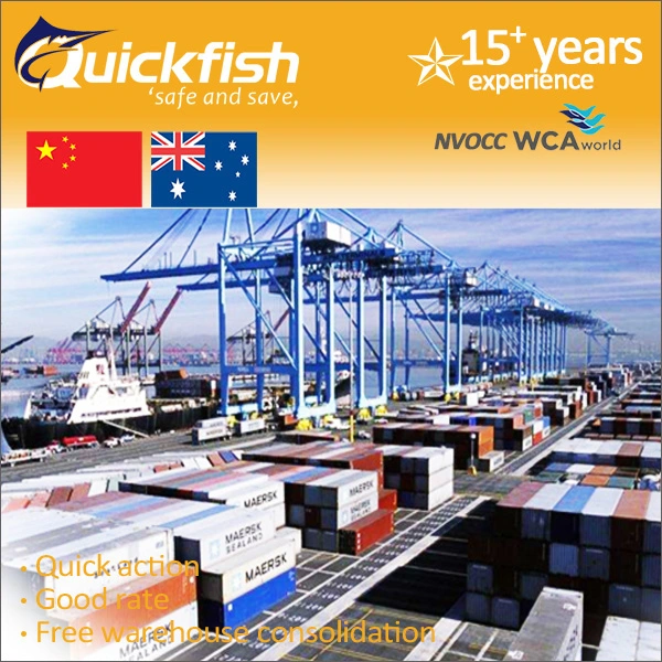 FCL/LCL Sea Freight Shipping Container From China to Melbourne Sydney Fremantle Australia