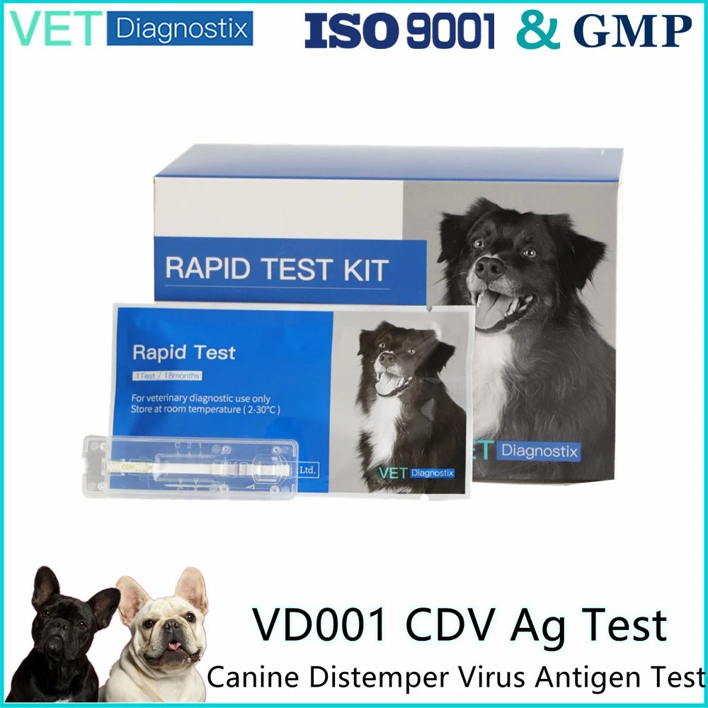 VETS Test Kit de detección rápida de antígeno distemper de canina Kit