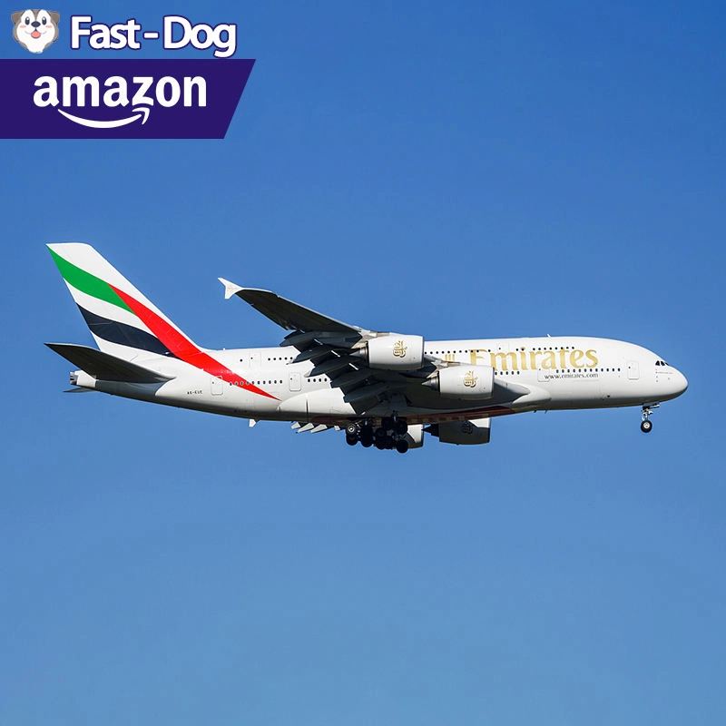 Air Freight Forwarder China to USA/UK/Germany/Europe/Canada/Japan Amazon DDP Door to Door Service