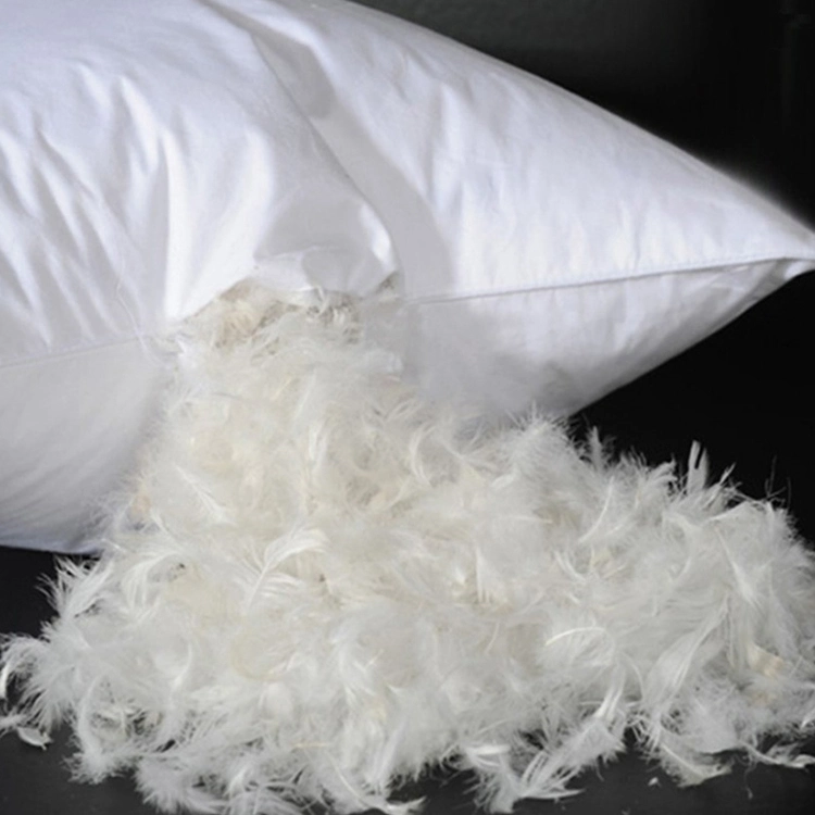Tejido de algodón almohada inserta, llena de plumas y almohadones decorativos insertos, Hotel sofá de plumas de pato blanco acolchado cojín Mayorista/Proveedor