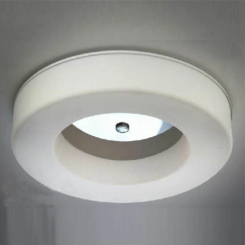Hot Sale Acrylic LED Ceiling Lamp Lighting for Bedroom