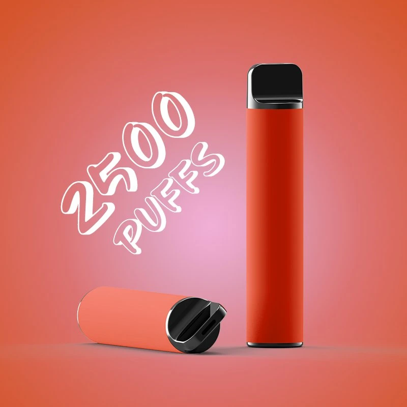 Disposable/Chargeable Vape Pen E Cigarette 2500puffs New Atomizer Factory Vapozier