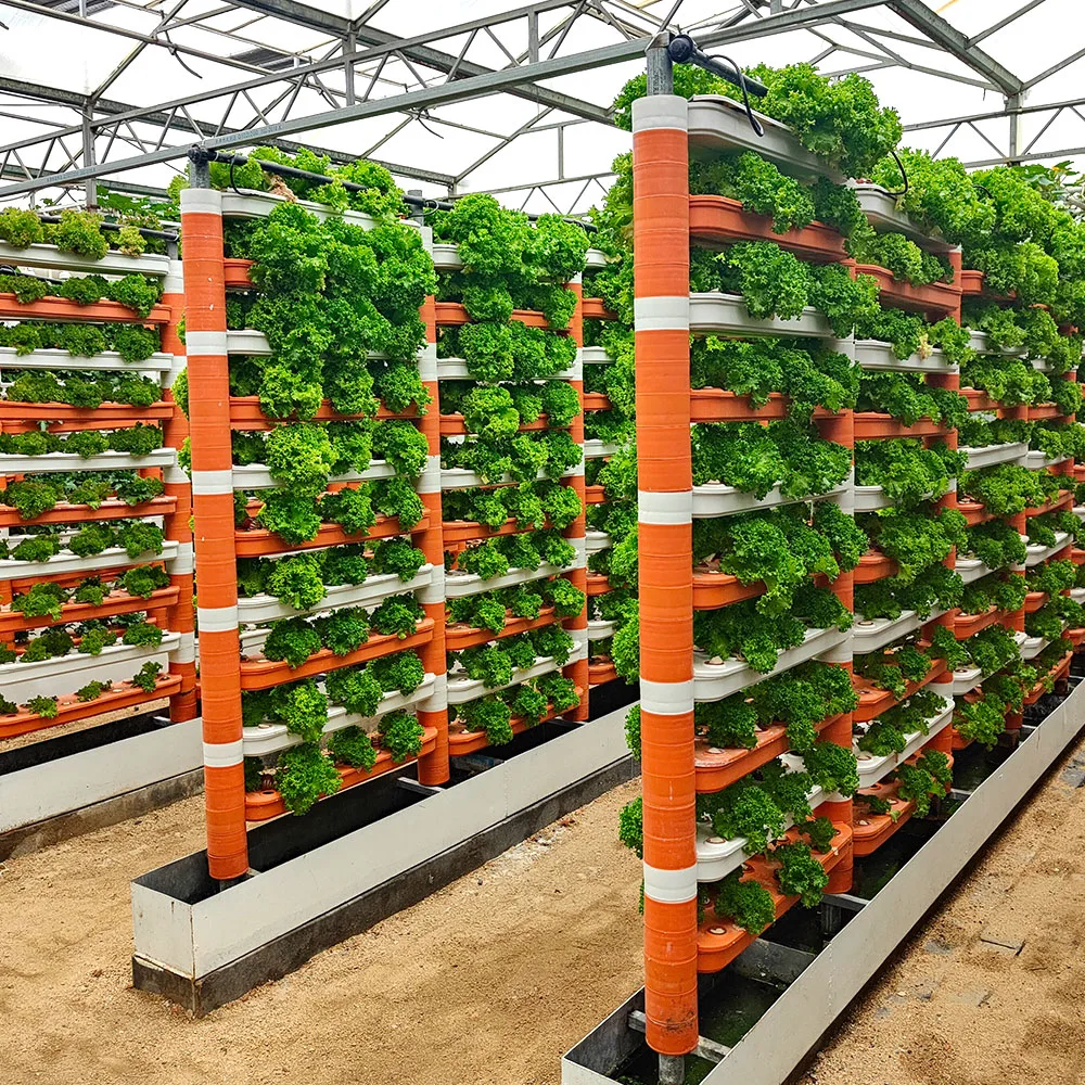 نظام الهيدرولوجيا القنوات العمودية النر م (ثقافة المياه العميقة) في حديقة الزهور Greenhouse Farm مع محلول غذائي