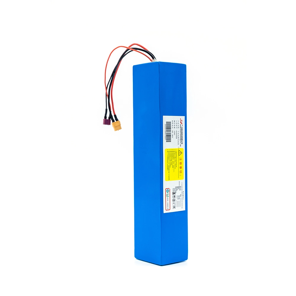 Rechargeable Charge 36V 48V 10ah 20ah 10000mAh Electric Bike Scooter Customized 18650 Lipo Battery