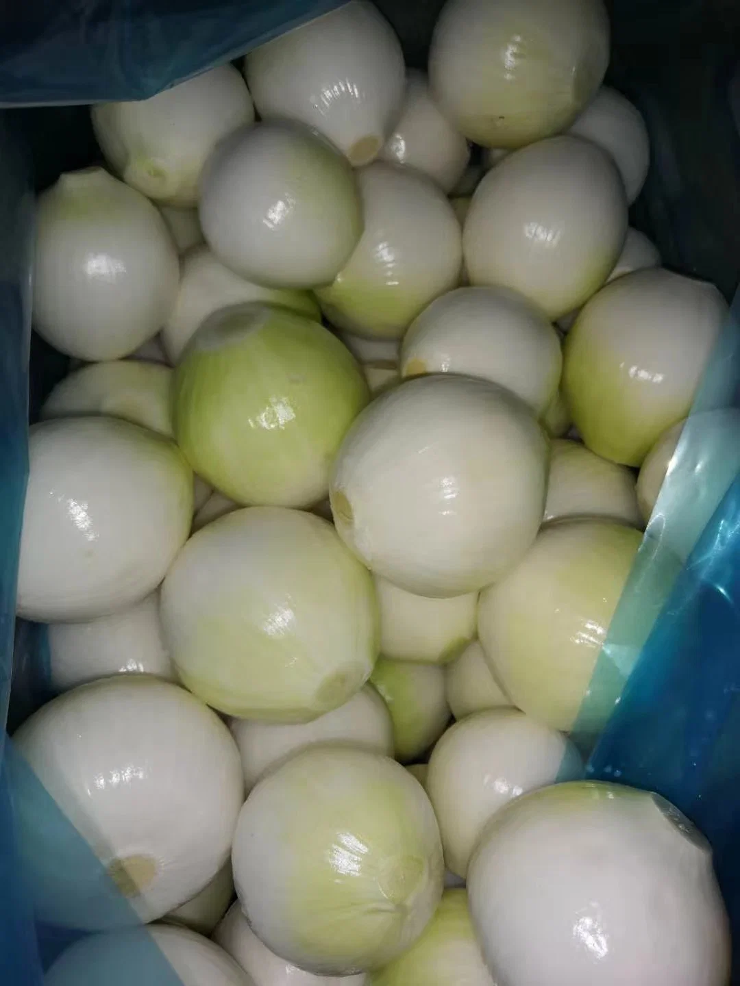 Whole Wholesale/Supplier Red Yellow White Green Skin Crop Peeled Purple Organic Frozen Fresh Vegetable Onion Price From Factory Supplier