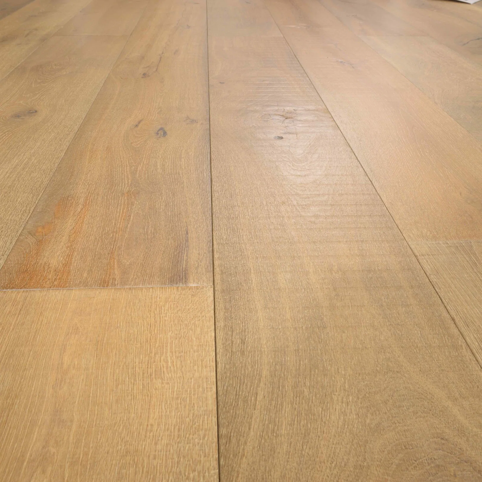 Coupe transversale du bois de chêne européen Engineered Parquet Hardwood Flooring