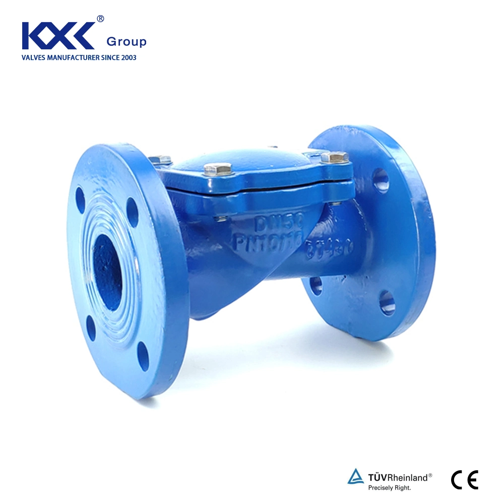 DIN Ductile Iron Di Ball Type Check Valve with Flanged Ends Check Valve