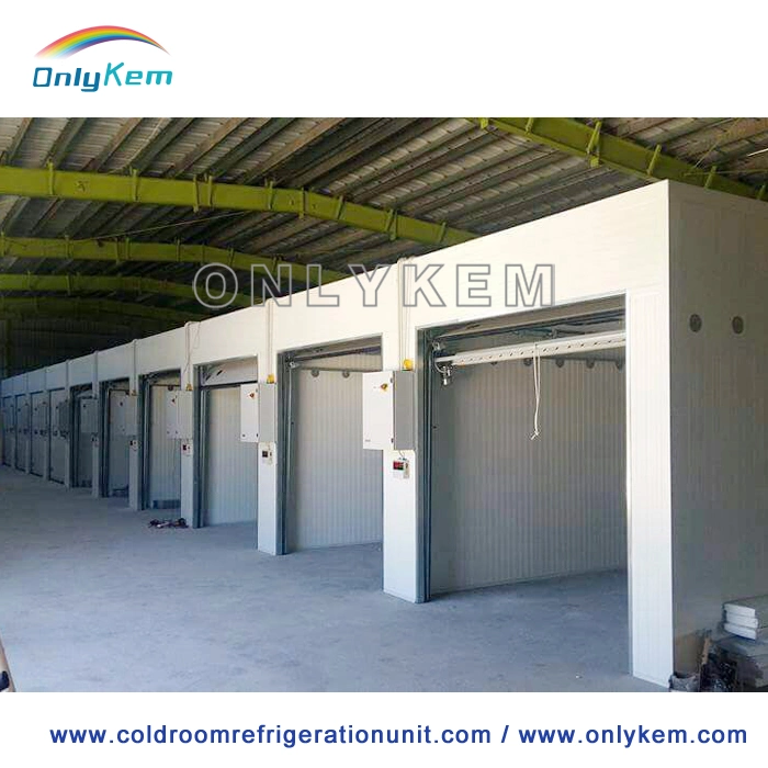 Manufacturer Frozen Fish Storage Freezer Cold Room in Bulgaria