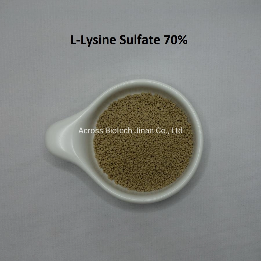 Best L-Lysine Sulphate 70% Feed Additive