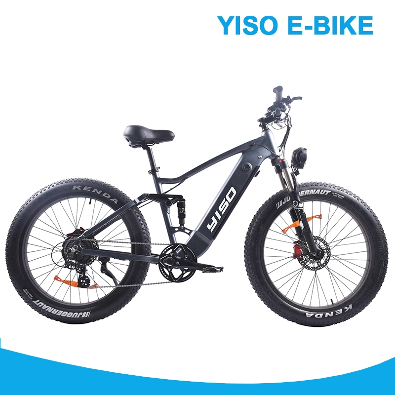 Full Suspention Fat Tire Wheel Battery Ebike with Hi Power 750W