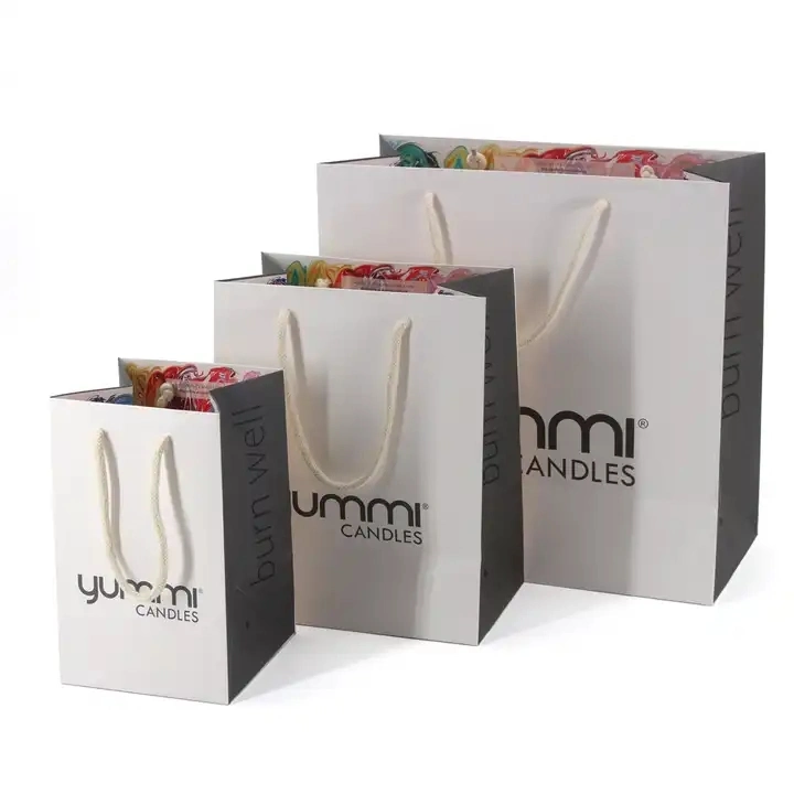 Paper Shopping Gift Packaging Bag with Handle