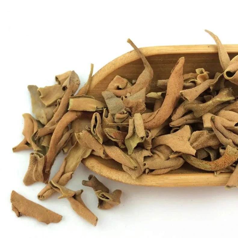 High quality/High cost performance  Natural Chinese Herbal Medicine Pyrrosia Lingua Shiwei