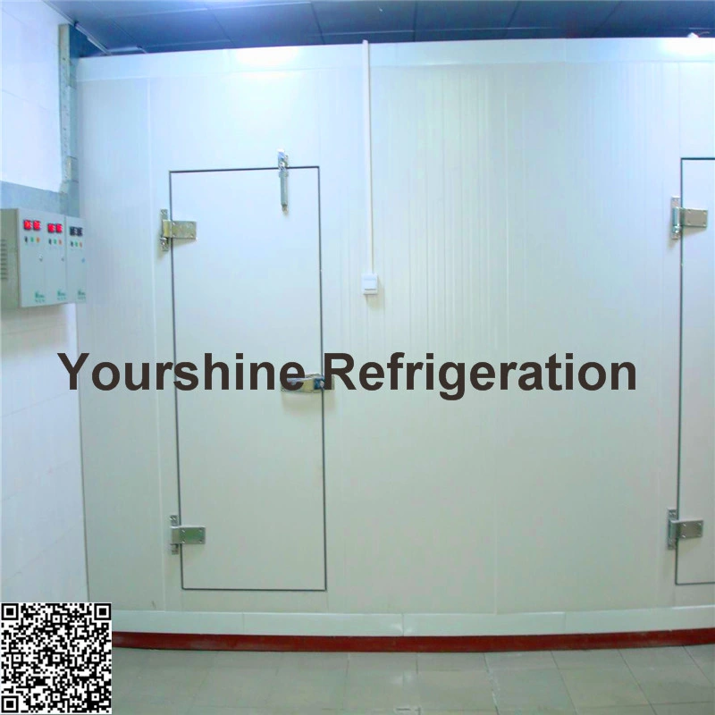 SGS Approved High quality/High cost performance  Fly-Back Door for Cold Room/Cold Storage