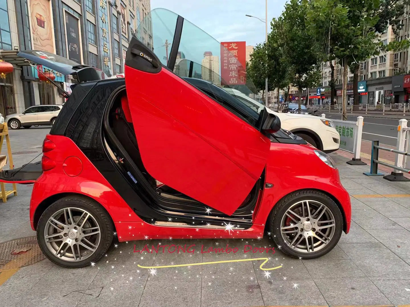 Auto Lambo Tür Kit für Smart