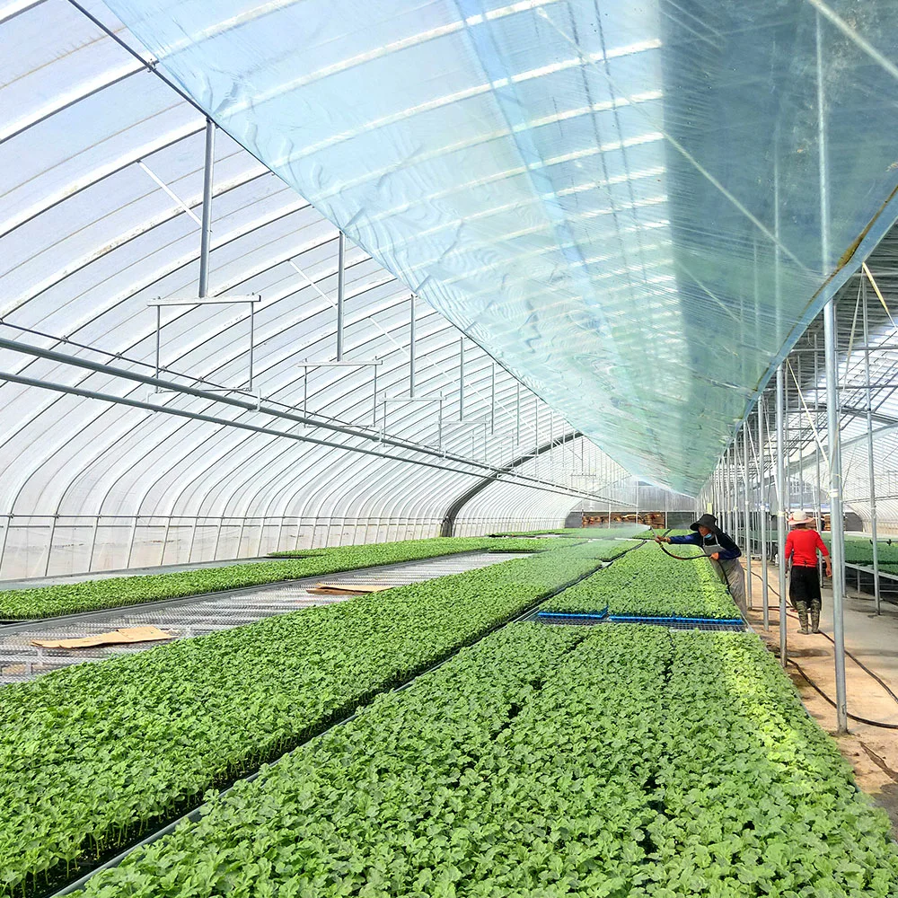 Plastic Po/PE Greenhouse Film with UV Resistant Horticulture Covering Film Tunnel Film with Optical Rotation Performance