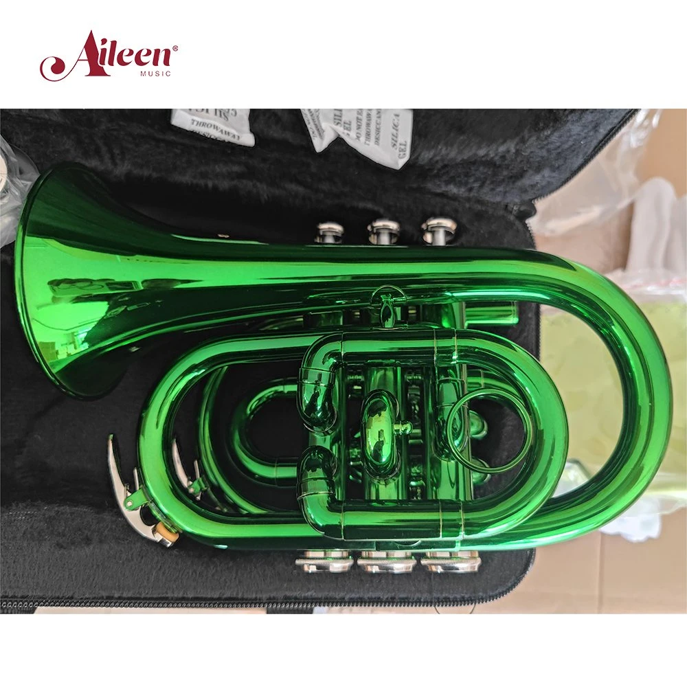 جيب صغير/جيب صغير مطلي بالورنيش الأخضر مع BB Key Pocket Trumpet (HTP8501C-GR)