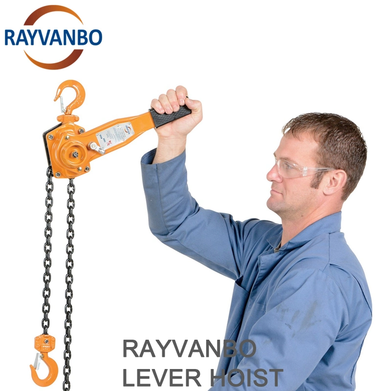 Rayvanbo Chain Block 1 Ton 2 Ton 3 Ton 5 Ton 6 Ton Lever Block (Hoist) for Sale From China Manufacturer Chain Block