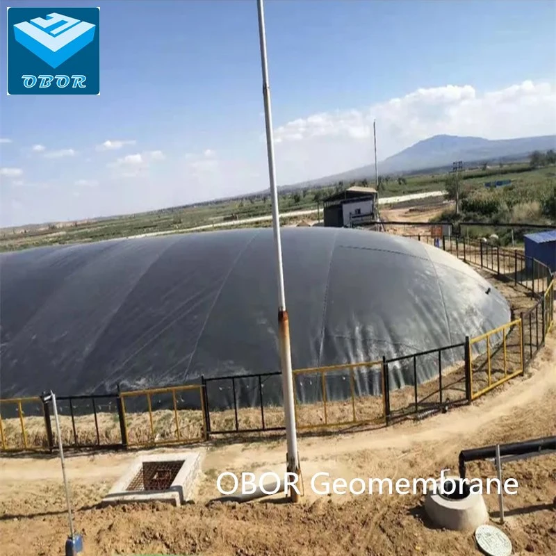 HDPE Geomembrane Biogas Digester Plant Storage Bag Tank Cover with Direct Factory Price China