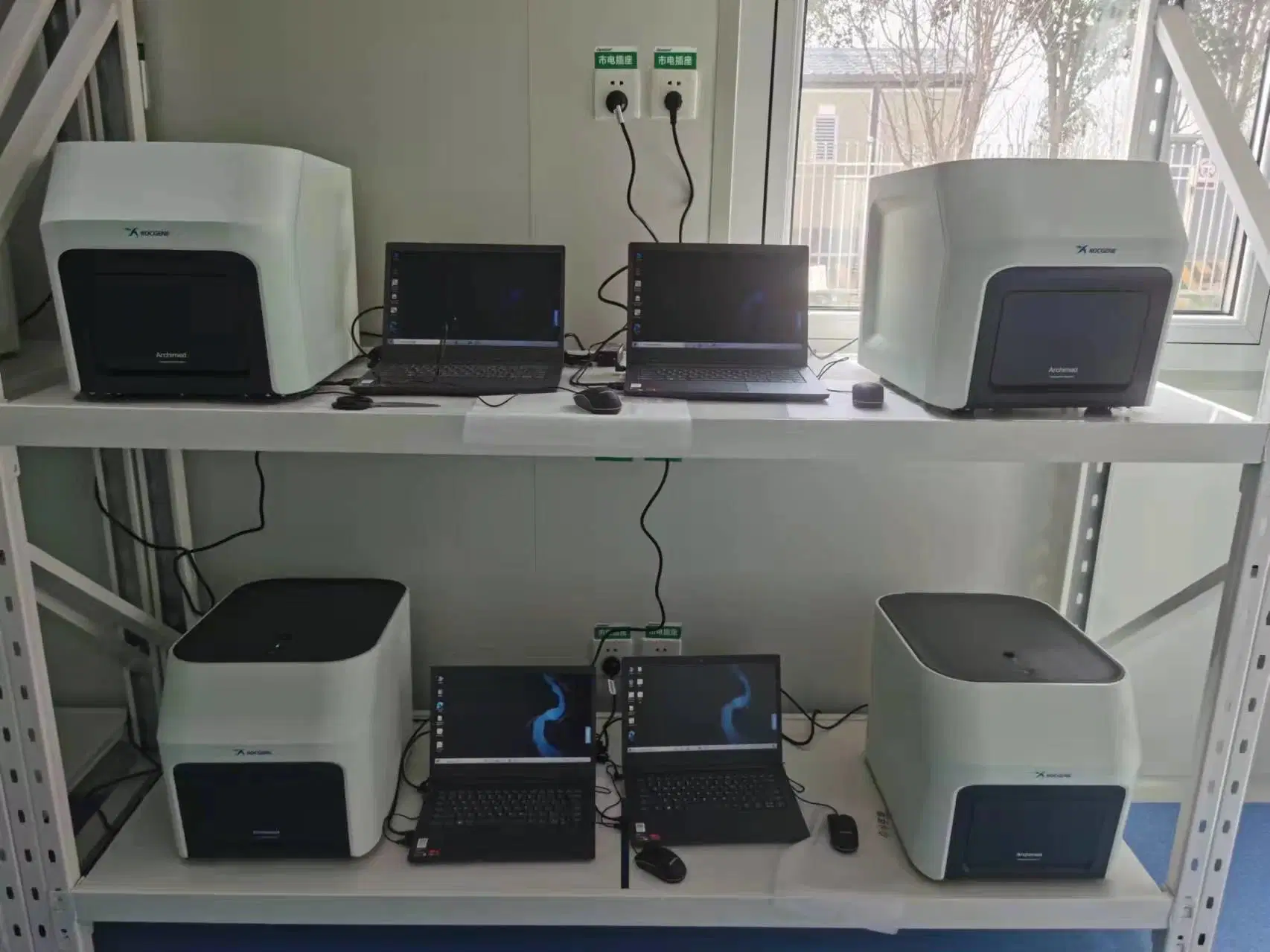 Container Laboratory Integrated Mobile PCR Shelter Laboratory for PCR Test