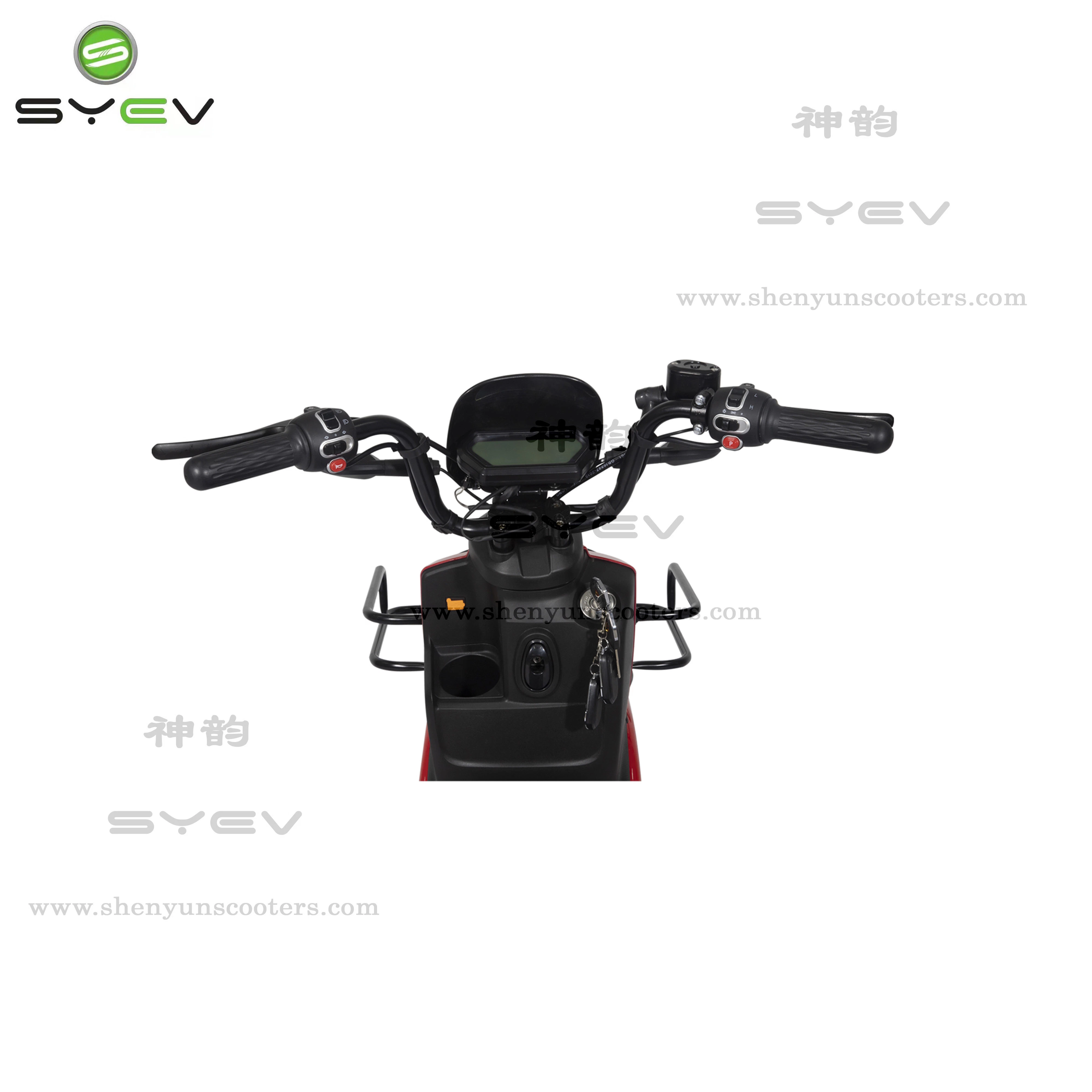 Syev EEC Approve Cargo Delivery Strong E-Motorcycle Electric Scooter Disc Brake