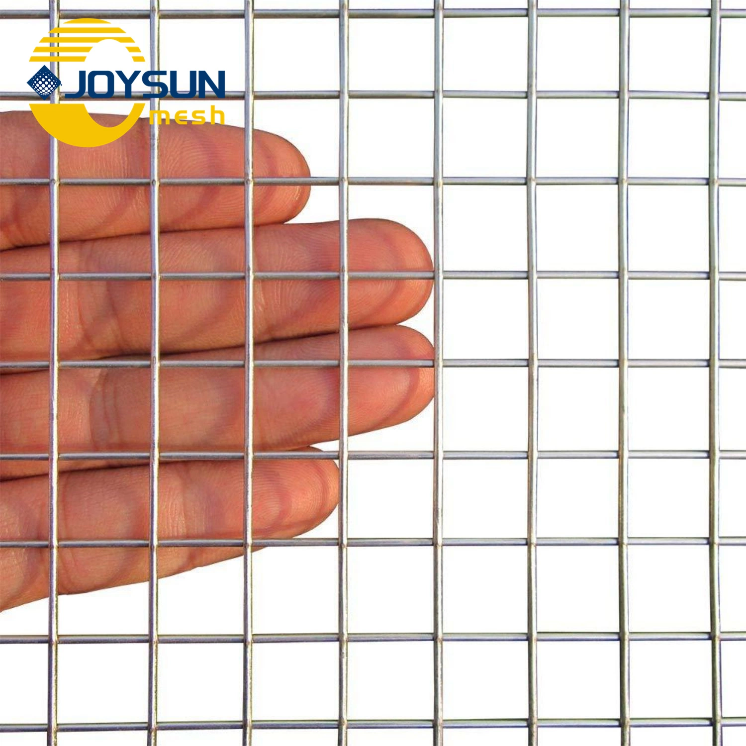 Stainless Steel PVC Coated Hot Dipped Wholesale/Supplier Manufacturer Stainless Steel Welded Wire Mesh