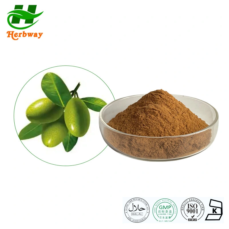 Herbway Factory Direct Sale Competitive Price Protect Skin Hydroxytyrosol Extract Oleuropein Oleanic Acid Olive Leaves Extract