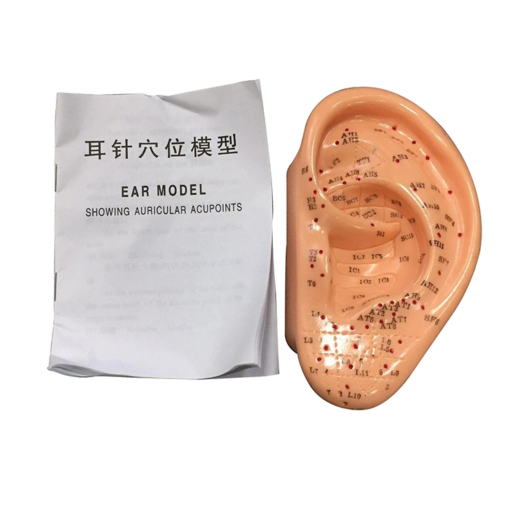 Human Acupuncture Model 13cm Ear Acupuncture Model Soft Flexible Model Ear Displays for Acupuncture