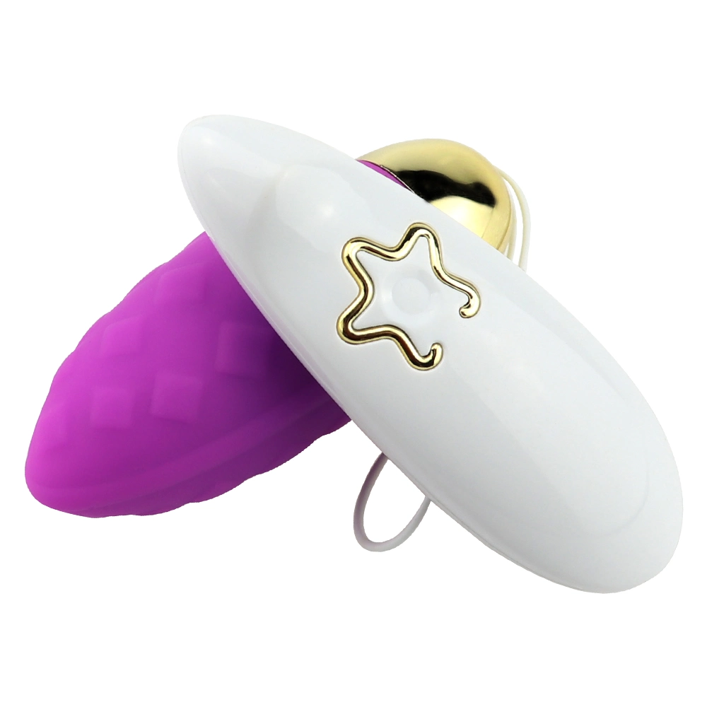 Remote Control Sex Toys Vagina Vibrator Mini Bullet Vibrating Egg Et-Sle-014