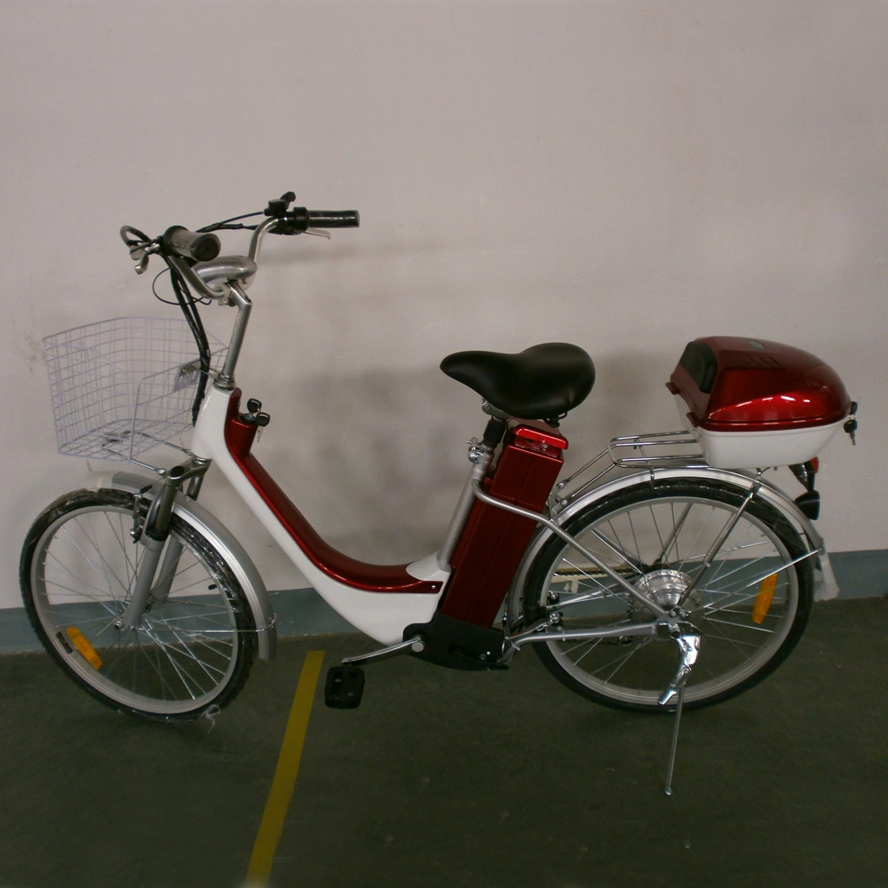 250W Brushless Motor City Electric Bike with Basket (ES-002)