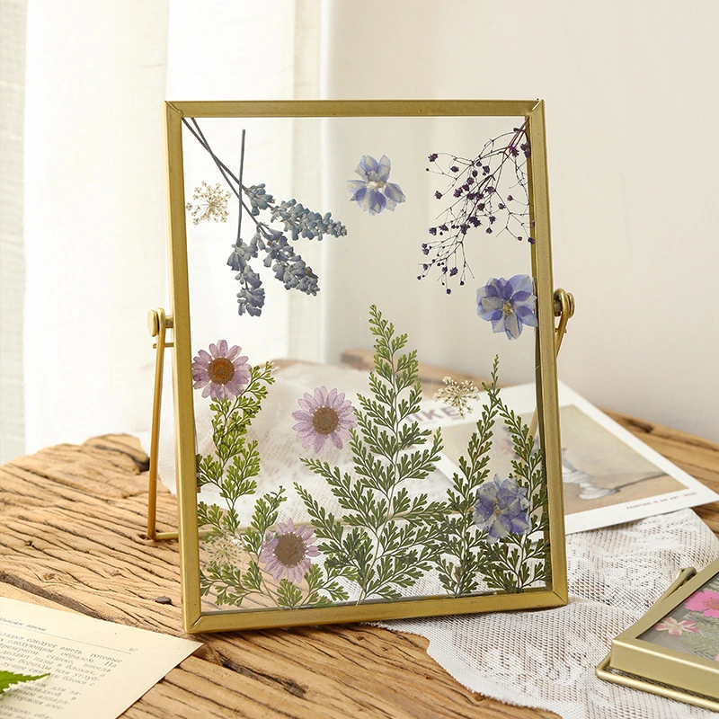 Cadre photo en fleurs séchées, cadre photo en verre transparent double face, décoration décorative.