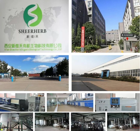 Sheerherb горячая продажа гуараны для укрепления мышц гуараны