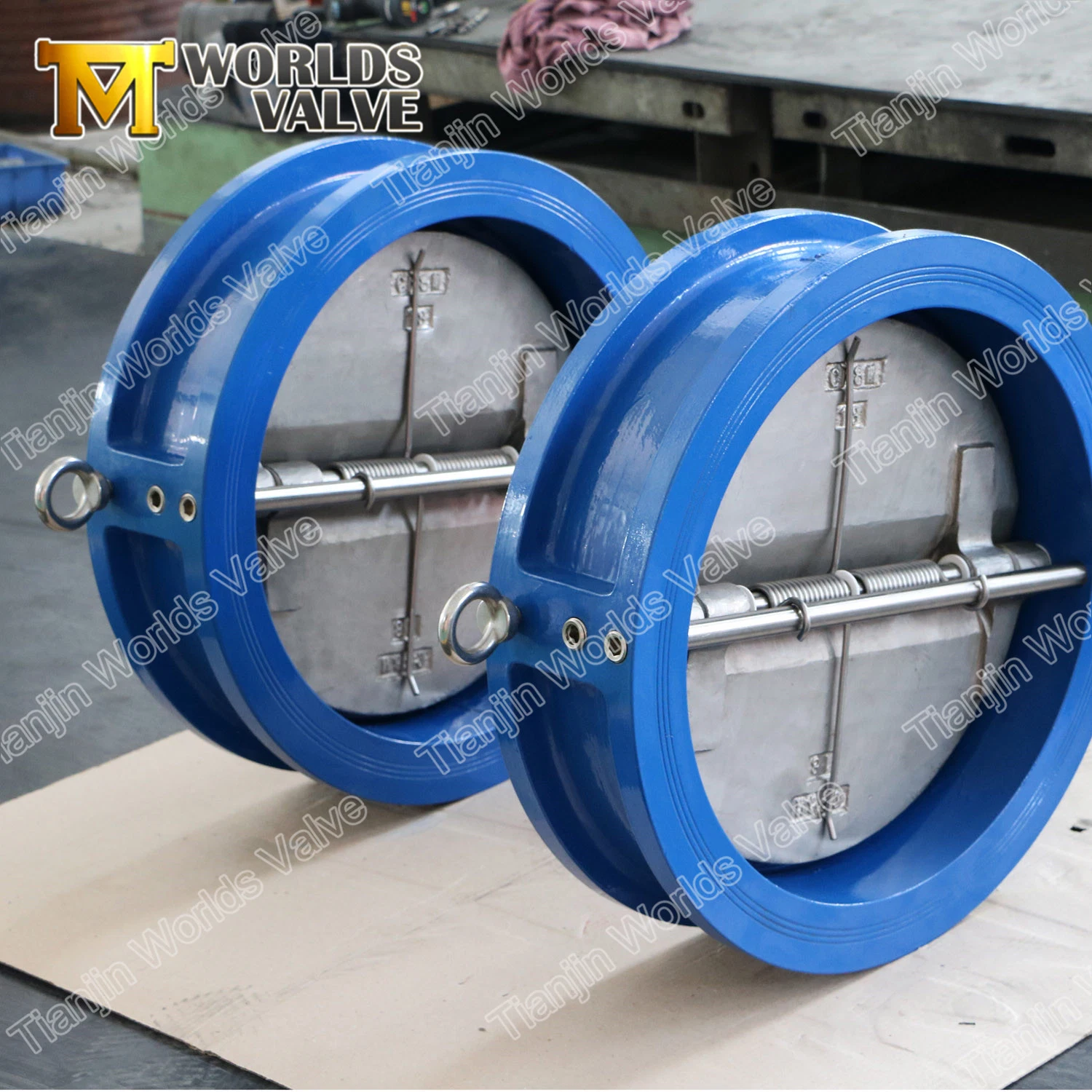 ISO5752 En558 API594 Double Disc Dual Plate/Flap/Butterfly Wafer Check Valve with Ce ISO Approved