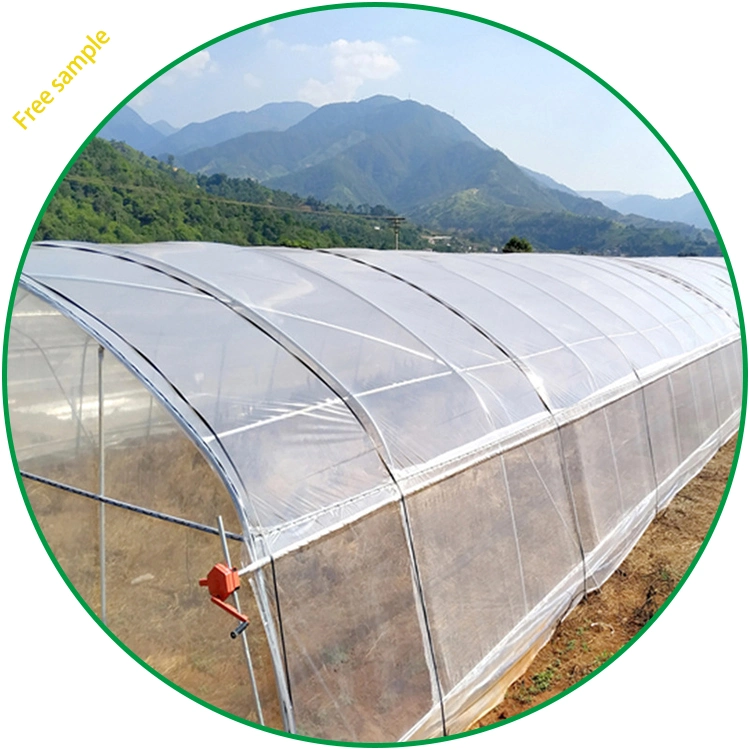 UV Green House Polyethylene Film Greenhouse 6 Mil Plastic Roll Cover with Competitive Price