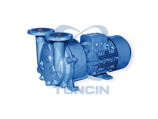 Large Capacity 2be Water Ring Vacuum Pump