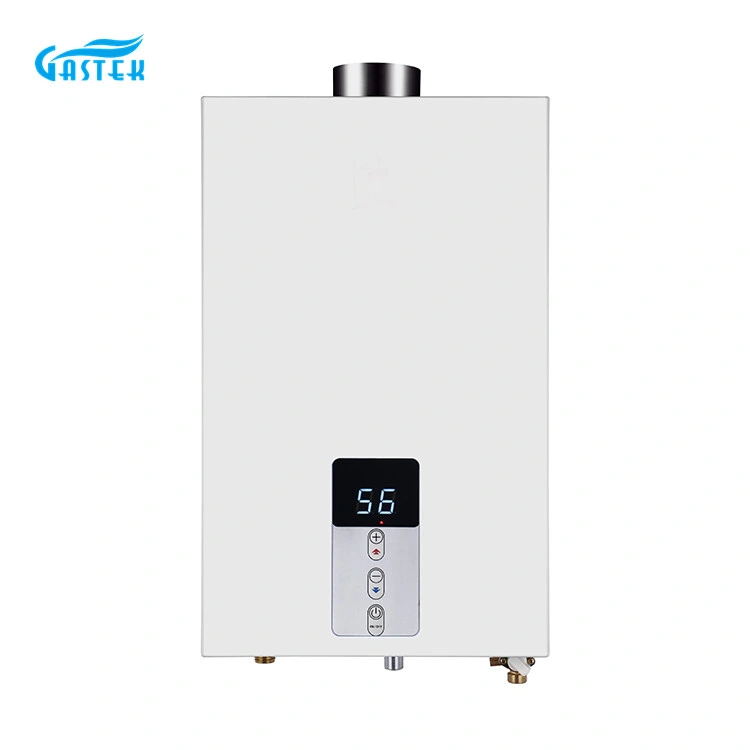 New Constant Temperature 10L 12L 16L 18L Hot Sale Home Appliance Flue Type Wall Mounted Tankless Instant LPG Natural Hot Water Gas Water Heater for Shower