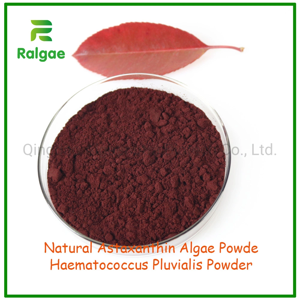 Natural Haematococcus Algae Powder Astaxanthin for Animal Feed