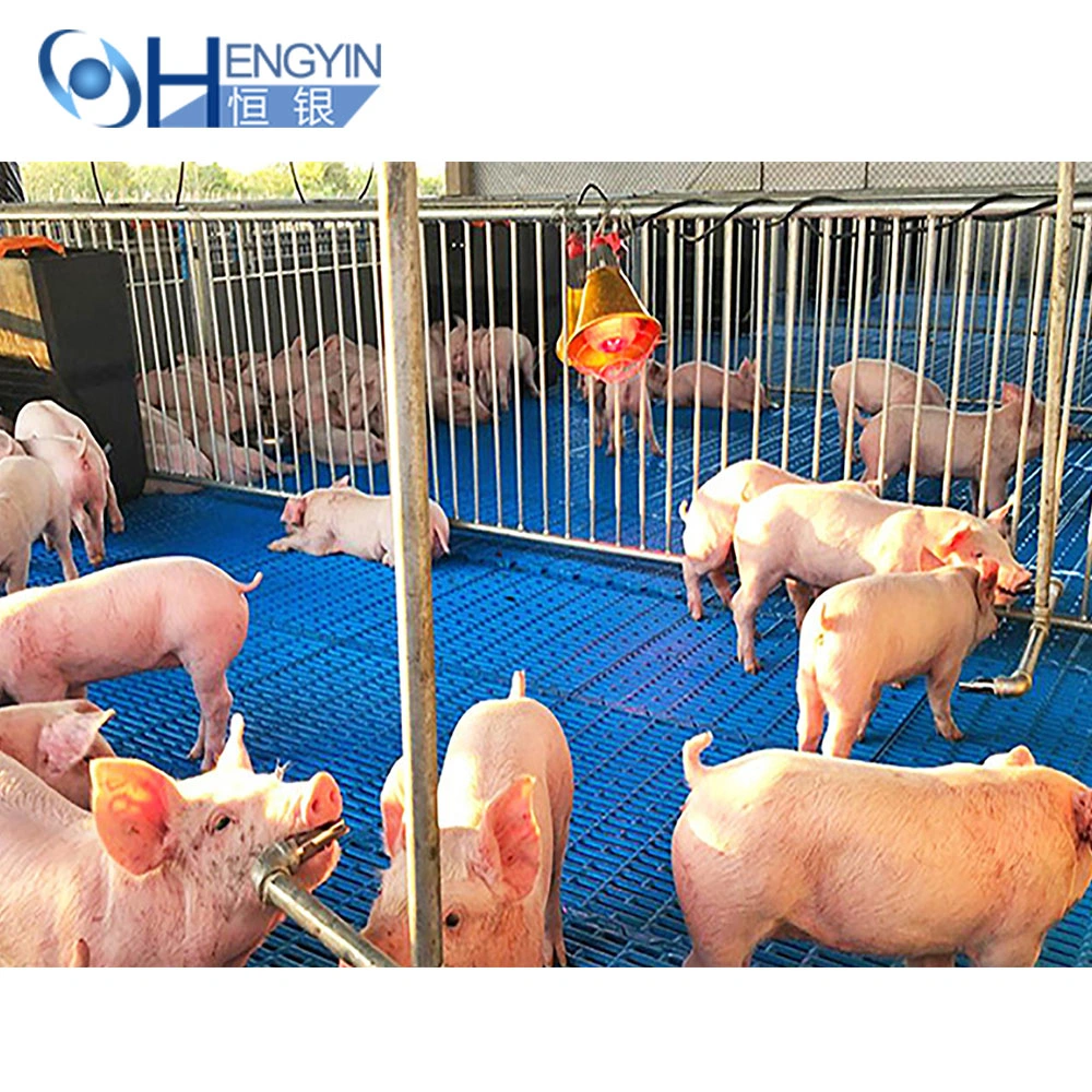 Pig Cage Top Sale Cheap Breeding Pig Nursery Cage Equipment for Piglets