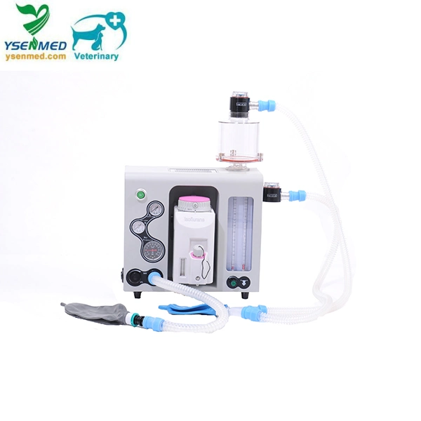 Ysav600PV Portable Anesthesia Machine Veterinary