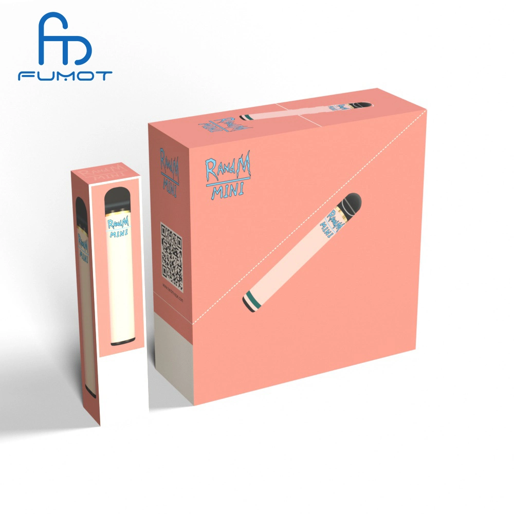 Wholesale/Supplier Name Brand Randm Vape Randm Mini Disposable/Chargeable Electronic Cigarette