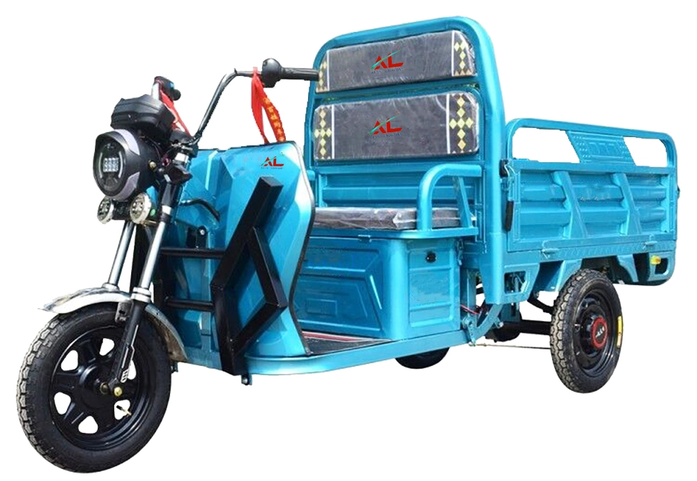 650W 500W Motor diferenciador 3 Wheel Trike CE con para Adulto de pasajeros y carga llevar Tricycle eléctrico
