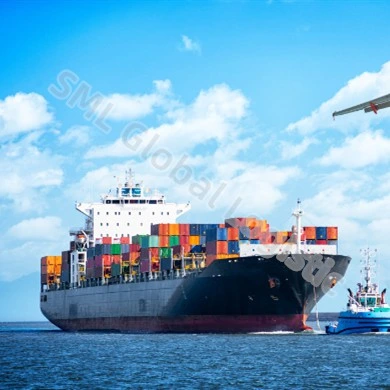 Professional Fast Reliable Air/Ocean Cargo Shipment Freight Forwarder From China to Worldwide Door to Door by Sea Cargo Shipment