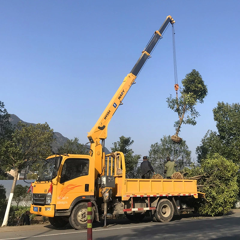 5 Ton Straight Boom Truck Mounted Crane Model Hy5s4 for Sale