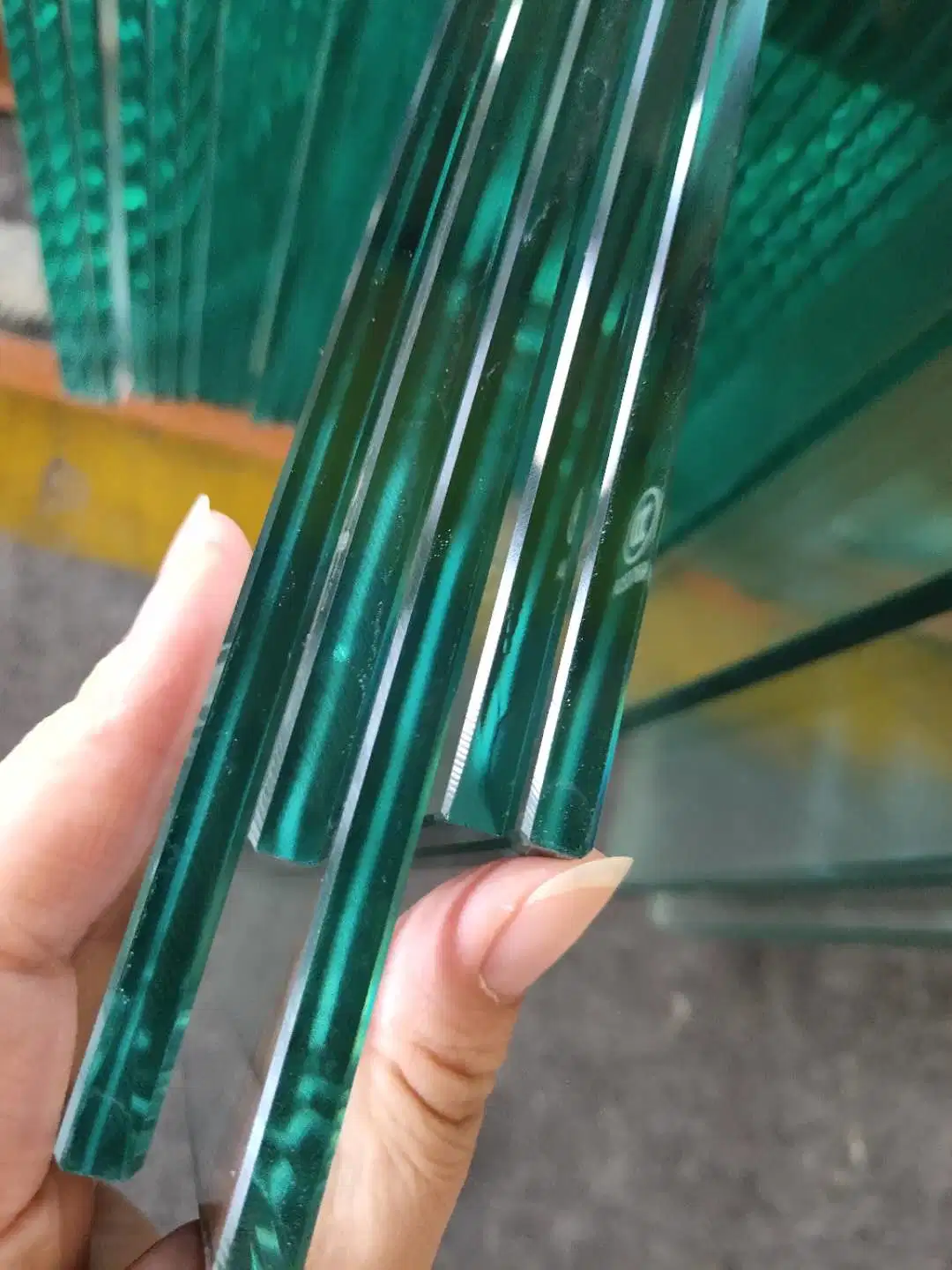 Window Flat/Curved Tempered Glass/Toughed Glass/Safety Glass for Building