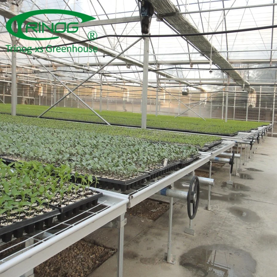 Trinog Greenhouse multispan net seeding bench plastic film Greenhouse for propagation