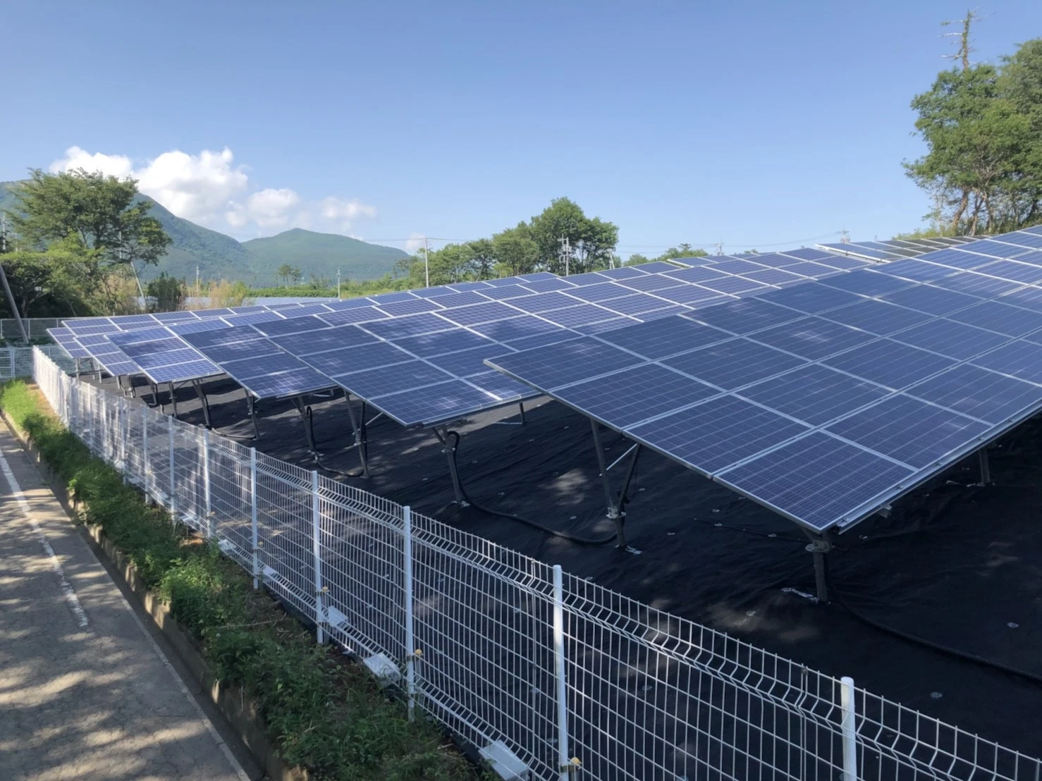 Panel solar PV montaje cercado Acero límite Granja pared Esgrima Paneles Galvanizado polvo recubierto Negro / Verde / Blanco de hierro forjado cercado