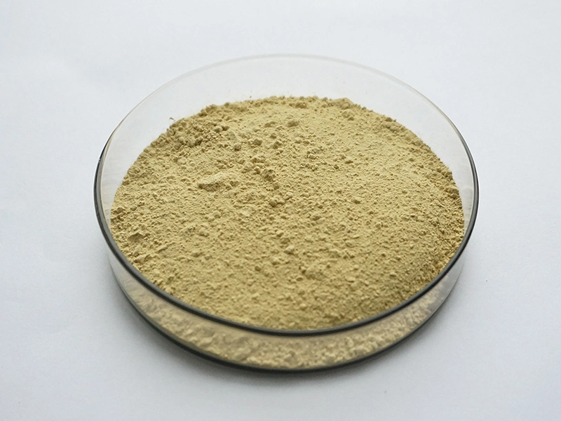 Astragalus Extract HPLC Test Astragaloside IV 98%